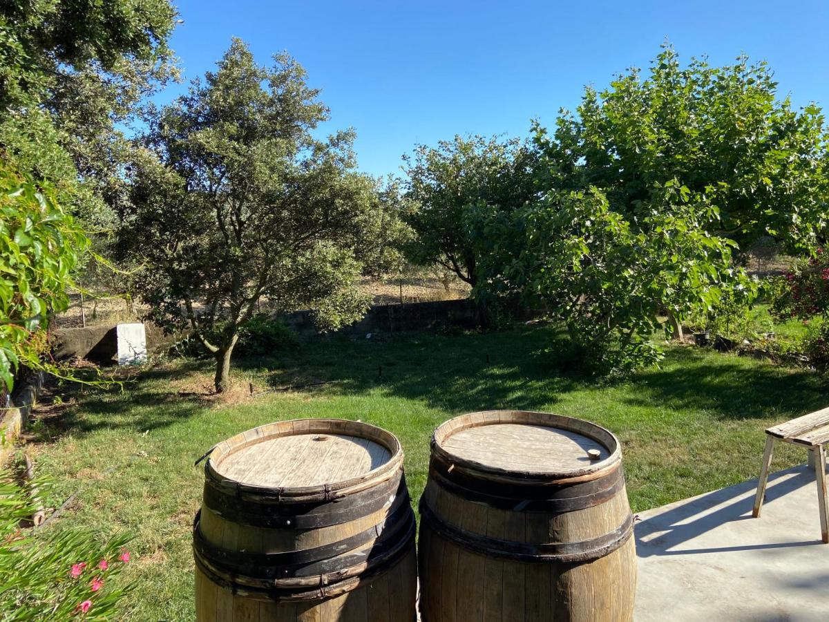Gite A La Ferme Clansayes 외부 사진